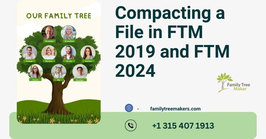 Compacting a File in FTM 2019 and FTM 2024